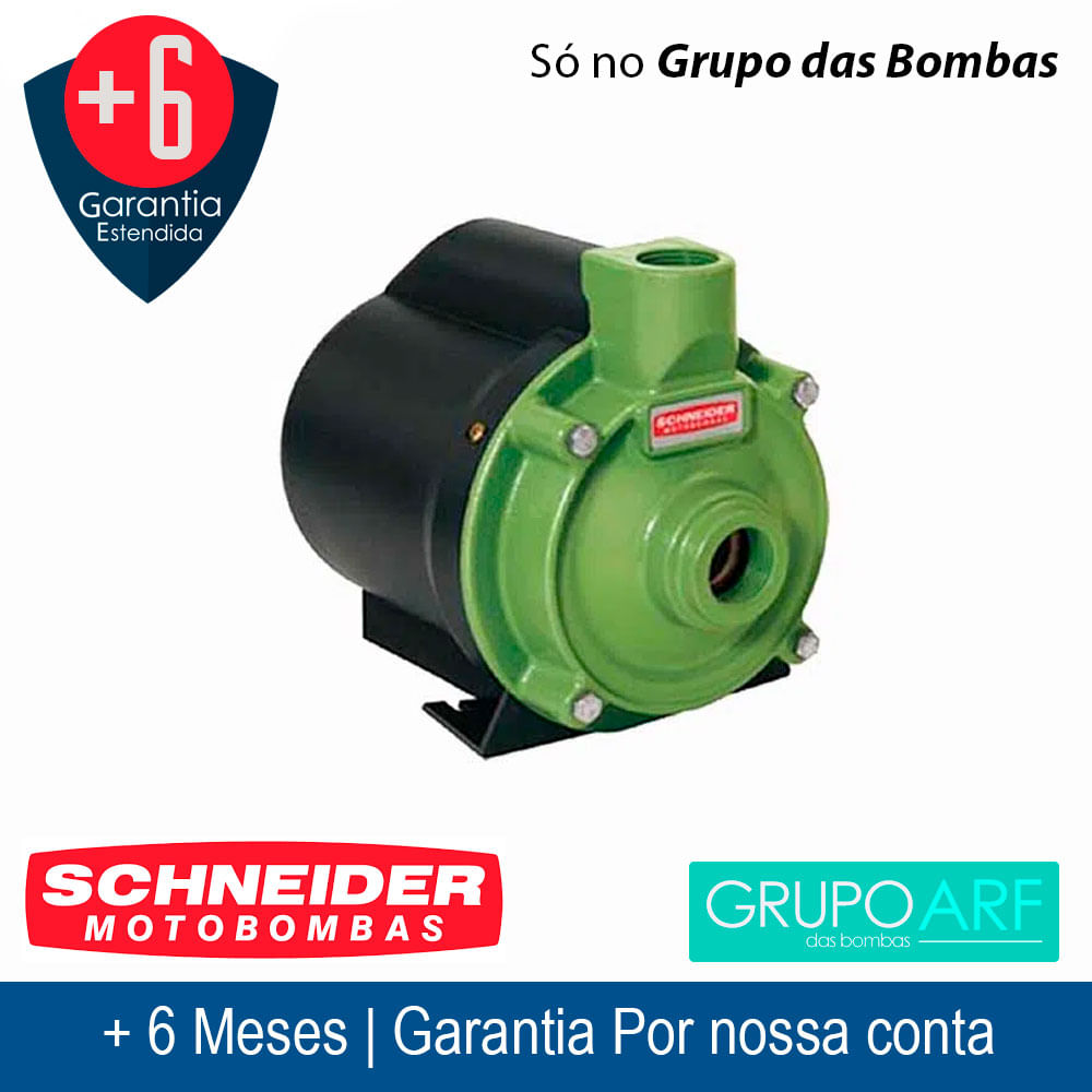 Caneca/Motor P/ Bomba Submersa Vibratória Tipo Sapo Rymer 2500 60Hz 220V