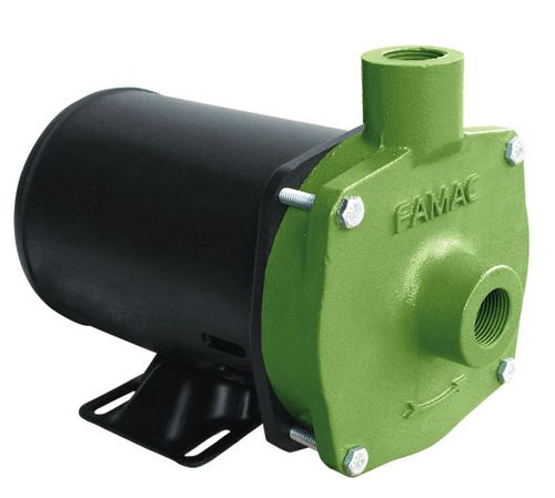 Bomba Centrifuga Famac FSG P 1/3Cv 114mm de Rotor 127/220V Monofasico